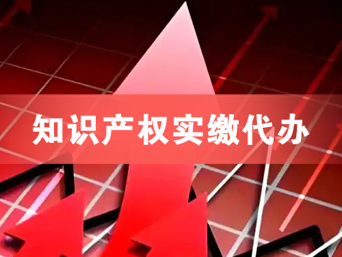 宣威知识产权实缴资本代办